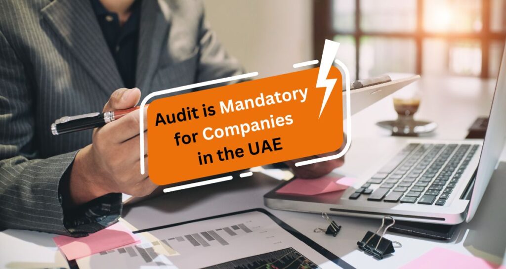 is audit mendatory in uae