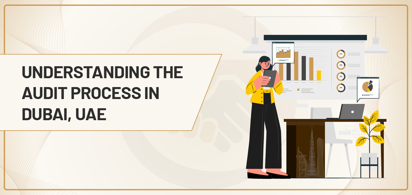 UAE Audit Process and Standards